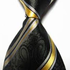 Sophisticated Black and Gold Paisley Tie